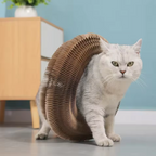 Pet Accordion Scratch Toy
