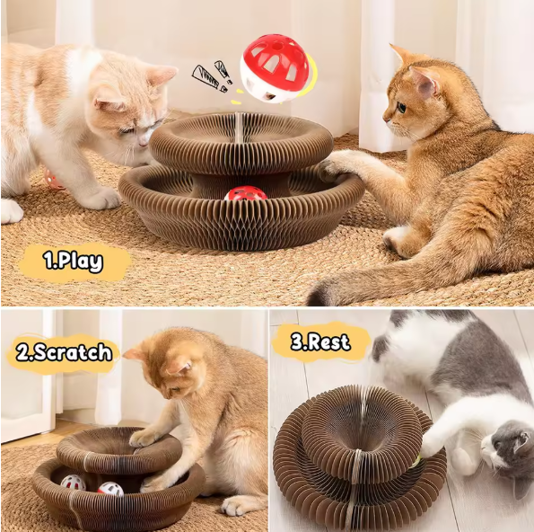 Pet Accordion Scratch Toy